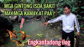 KAKAIBANG ISDA NATAGPUAN l BINABANTAYAN NG MGA ENGKANTADA [upl. by Ahto]