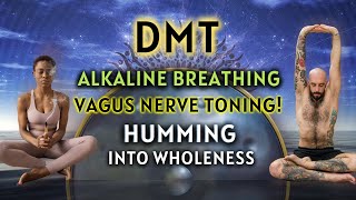 Vagus Nerve Humming DMT Alkaline Breathing  How To Tone The Vagus Nerve 3 Rounds Guided [upl. by Altheta]