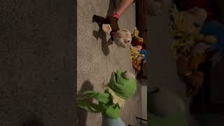 Grandpappy versus Kermit ￼ [upl. by Grefe]