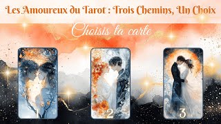 🌈Choix  Harmonie et Alchimie🌈 🦋 Guidance à 3 Choix 🦋 [upl. by Ingalls765]