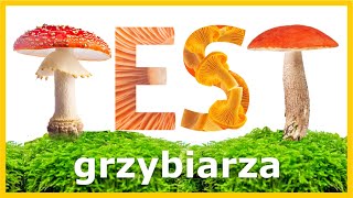 Test Grzybiarza  Ile z tych Grzybów Znasz Szybki Quiz [upl. by Noslien106]