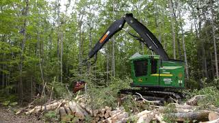 Abatteuse John Deere 1270D avec une tête d’abattage Waratah 414 à loeuvre au BasSaintLaurent [upl. by Azaria]