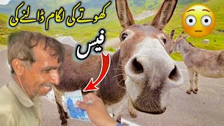 1000 Fees Donkey کھوتے کی لگام ڈالنے کی ایک ہزار فیس [upl. by Udenihc]