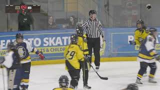 DMUK Widnes Wild Women V Leeds Roses 2342023 [upl. by Hortensia]