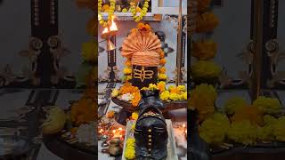 Rameshwar mahadev mahakal mahadev shiv bholenath youtube reels explore youtubeshorts [upl. by Sender]