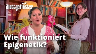 Wie funktioniert Epigenetik in Pflanzen [upl. by Magnien]