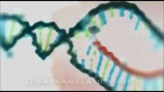 Protein synthesis DNA transcription translation and folding [upl. by Ainaj]