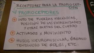 Sistema Somatosensorial tacto  propiocepción  T y dolor [upl. by Popper436]