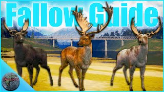 Diamond Fallow Deer Guide  Te Awaroa New Zealand theHunter Call of the Wild 2021 [upl. by Eustatius]