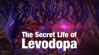 The Secret Life of Levodopa [upl. by Torp]