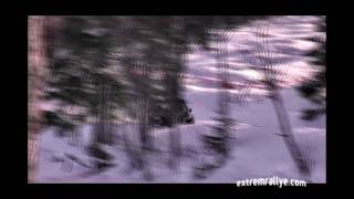 Rally Sweden 2010 [upl. by Eilyak]