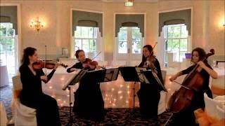 Wedding String Quartet  Canon in D Best Version Johann Pachelbel [upl. by Ilowell]