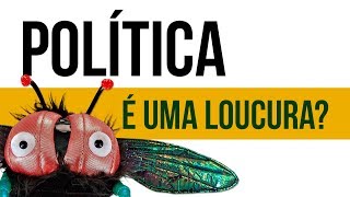 Por que a gente se odeia  Polarização Política [upl. by Marguerita]