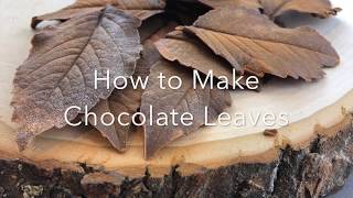 How to Make Chocolate Leaves [upl. by Bust]