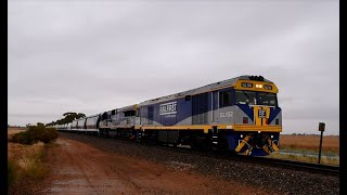 Aurizon Freight Train from Alice Springs amp Aurizon Grain Train from Crystal Brook at a Rainy Mallala [upl. by Assiram]