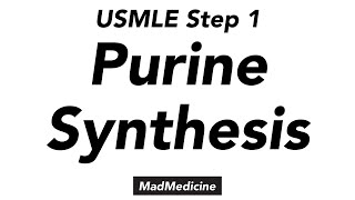 Purine Synthesis  Biochemistry  USMLE Step 1 [upl. by Hannie]