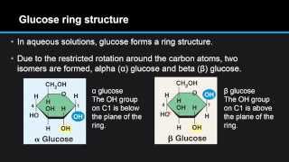 B32 Draw the straightchain and ring structural formulas of glucose and fructose [upl. by Yllatan]