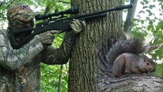 Airgun HuntingHow to Hunt Squirrels with an Air Rifle [upl. by Drobman]