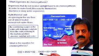 First Year  Chapter 12  Nutrition  Part 2  Chemotrophic Nutrition  Chemosynthesis [upl. by Patman]