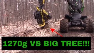 1270G VS BIG HARDWOOD TREE JOHNDEERE POWER [upl. by Armanda198]