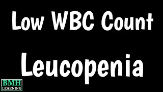 Leucopenia  Low WBC Count  Causes Symptoms Treatment Of Leucopenia  Types Of Leucopenia [upl. by Scutt413]