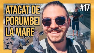 Mau atacat porumbeii la mare  Fac Vlog 17 [upl. by Anear24]