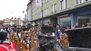 Guuggemusig LoschtmÃ¶lch Chriens Birsfelden Fasnacht 1722024 [upl. by Woodruff856]