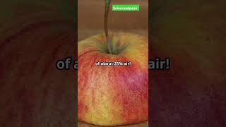 Why apple float in airshorts ytshorts trendingshorts apple amazingfacts trends [upl. by Longerich]