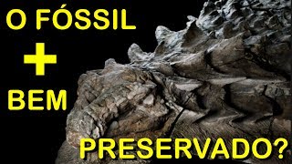 O fóssil de dinossauro mais bem preservado do mundo Pirula 217 [upl. by Dane]