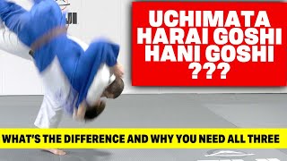 Uchimata Hani Goshi Harai Goshi How Are They Different amp Why You Need To Learn All 3 [upl. by Fiorenze]