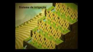 A agricultura incawmv [upl. by Neila]