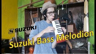 Bass melodion B24  What a Wonderful World [upl. by Galan]