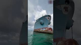 জাহাজের 🚢 নিচের অংশ বেশিরভাগ সময়তে লাল 🔴 রঙেরই কেন হয় shortvideo shots [upl. by Hcurob]