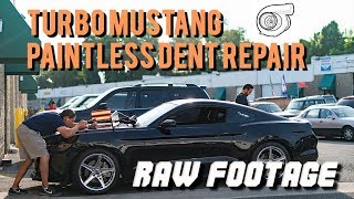 Turbo Mustang Hood Repair  Paintless Dent Removal  Dentless Touch [upl. by Nonnel]