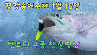 Pyeongchang Trout Festival Ice Fishing January 15 2017 [upl. by Artur]