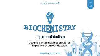 Lipid Metabolism Lipolysis [upl. by Bron]