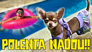 POLENTA FINALMENTE NADOU NA PISCINA🎉✨ [upl. by Terza666]