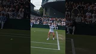 Barbora Krejčíková Wimbledon Masterclass wta tennis forehandwinner [upl. by Stempson]