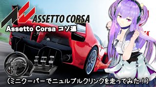 今日の Assetto Corsa コソ連（ ミニクーパーでニュルブルクリンクを走ってみた！） [upl. by Minica569]