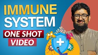 Human Immune System  One Shot Video [upl. by Pisarik]