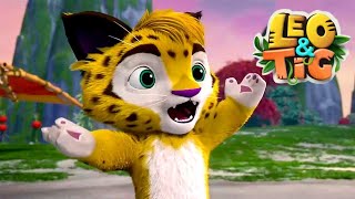 Leo and Tig 🔴 LIVE 🐯 Best Episodes 🦁 Cartoon for kids Kedoo Toons TV [upl. by Lothaire]