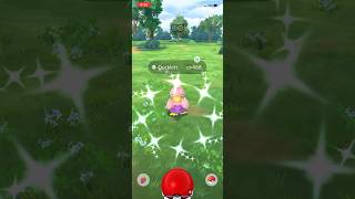 Pokémon GO  Shiny Ducklett [upl. by Adrienne]