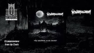 Winterfullmoon  Of Blood and Iron full album 2023 [upl. by Ahsimot741]