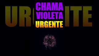 CHAMA VIOLETA URGENTE chamavioleta [upl. by Eniamzaj]