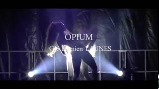 OPIUMCie Damien Launes  Festival Valras on danse 2017 [upl. by Alat]