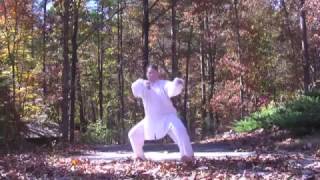 Professor Florin Szondi  13 Movements Chen Taiji Style [upl. by Sidoney]