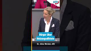 Endgültige Abrechnung mit der Ampel weidel scholz habeck baerbock lindner afd bundestag [upl. by Jerman590]