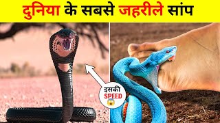 दुनिया के सबसे जहरीले सांप  The Most Poisonous Snakes In The World  Take Reality [upl. by Imugem]