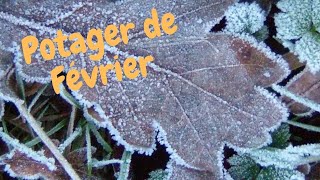 🌷 FEVRIER à quoi ressemble le potager [upl. by Eceinhoj754]