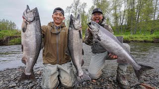 INSANE Alaska King Salmon Fishing CATCH CLEAN COOK [upl. by Ennovahc]